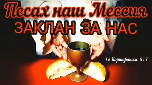 Песах наш Мессия заклан за нас ! смотреть онлайн
