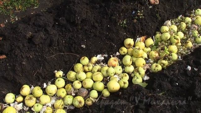 Осенние работы (часть6). Грядка под огурцы. смотреть онлайн