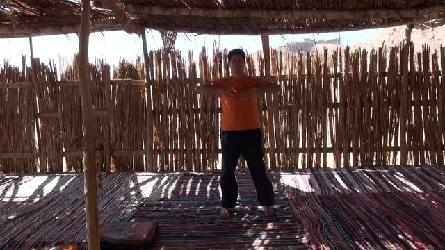 Комплекс 5 зверей 2.медведь