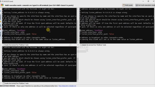 Download & Install DataStax Enterprise | Multinode Configuration смотреть онлайн