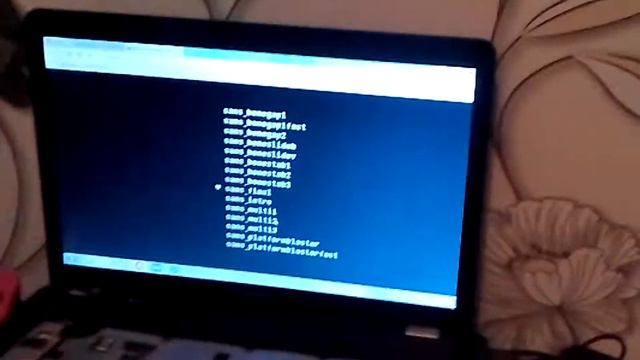 Играем в Санса симуляторы смотреть онлайн