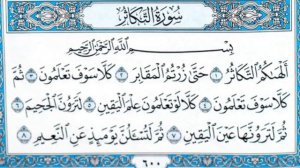 Чтение суры Ат-Такасур (102) Айман Сувейд