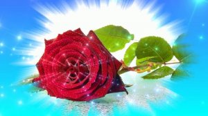 Футаж. Цветочный фон 134