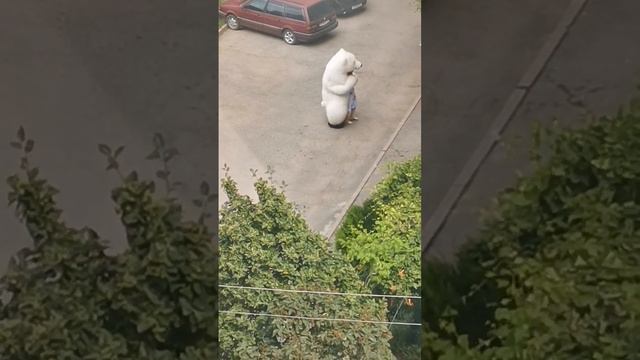Вот такое доброе утро смотреть онлайн