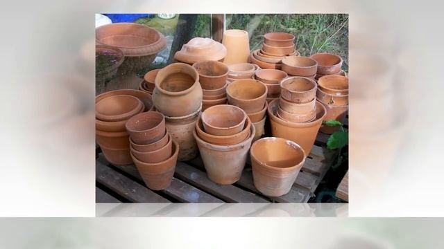 ГОРШКИ ДЛЯ ЦВЕТОВ | В какой горшок посадить комнатное растение смотреть онлайн