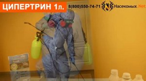Вывести клопов и тараканов средством Ципертрин