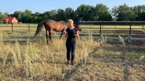 ДУМАЕТЕ КУПИТЬ ЛОШАДЬ???