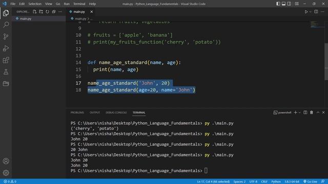 Python Tutorial for Beginners #28 - Functions standard, positional and keyword arguments (part 1) смотреть онлайн