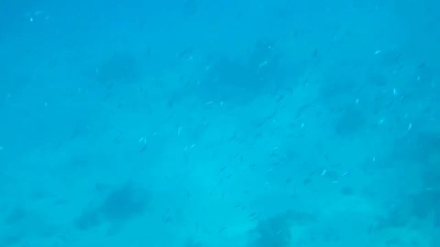 Подводная камера Pentax