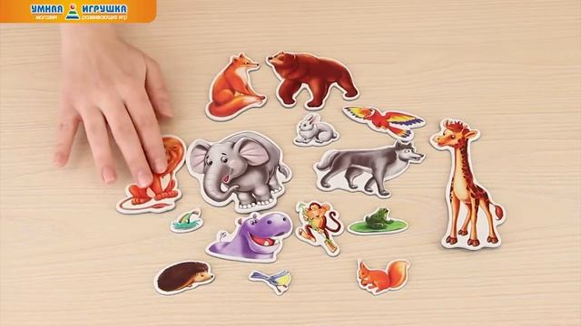 Магнитная развивающая игра «Соседи по планете» смотреть онлайн