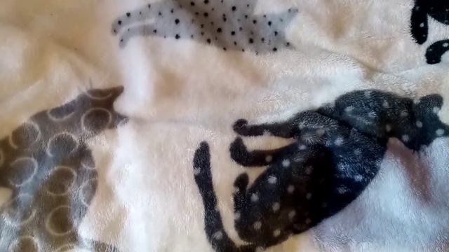 ❤️ ЧТО НУЖНО ЧТОБЫ ЗАВЕСТИ БАСИКА❤️ОДЕЖДА🤩БУТЫЛОЧКИ🍼 #басик смотреть онлайн