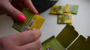 24 ЧАСА С ГОВОРЯЩИМ БЕНОМ! ВЫПОЛНЯЕМ ЗАДАНИЯ С КОТАМИ И СОБАКОЙ