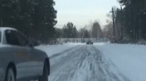 марк 2 дрифт зимой