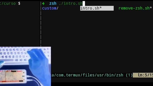 Configurando o ZSH para alta produtividade no terminal com fundamentos sobre a diferença do shell.. смотреть онлайн