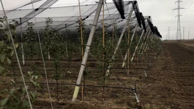 Капельный полив, от компании «Новый Полив» смотреть онлайн