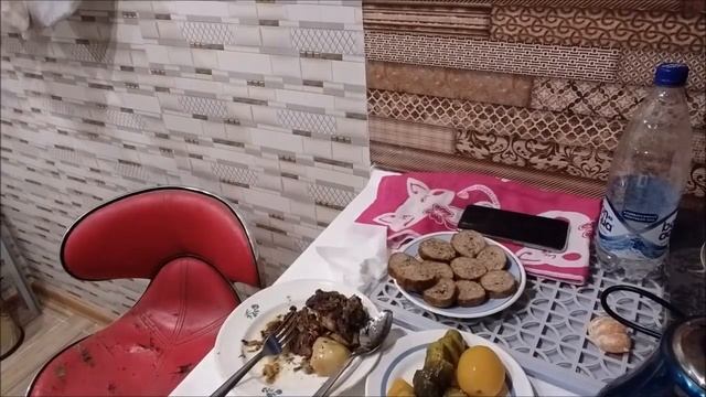 Умка и Белла статные собаки Ужин на камеру смотреть онлайн