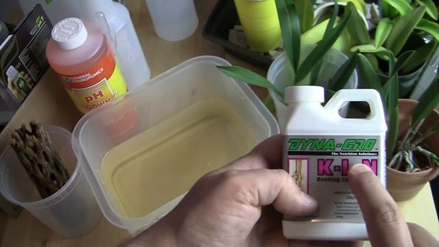 How I Make Orchid Roots Grow смотреть онлайн