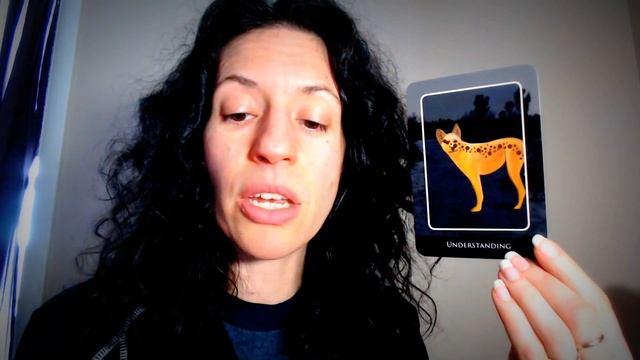 (Hangout Live) Unboxing Aboriginal Dream Oracle Deck смотреть онлайн