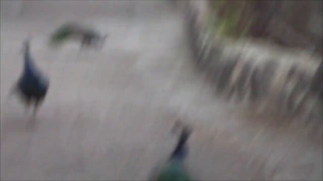 Израиль 2022 смотреть онлайн