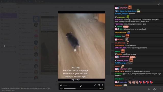 Жора детально обозревает политическую ситуацию на стриме смотреть онлайн