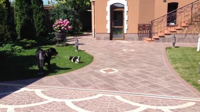 Утренняя пробежка:) смотреть онлайн