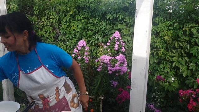 Томаты консервированные в собственном соку. смотреть онлайн