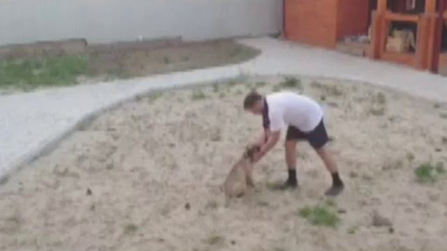 Мэйджик Форс Форвард ту Виктори смотреть онлайн