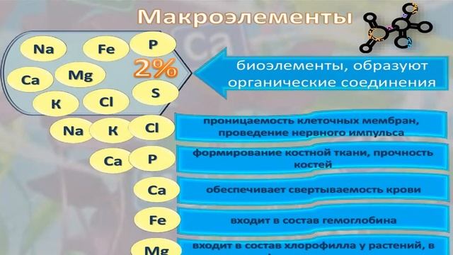 Клетка как биологическая система Химический состав клетки (неорганические вещества) смотреть онлайн
