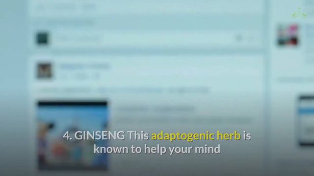 7 Best Herbs To Boost Energy And Focus