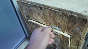 TimPtitZ: Сложности с разведением какариков