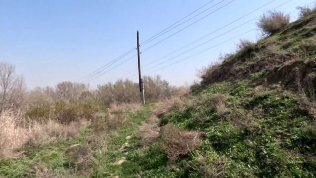 Фергана.Арсив.АрсифВесна.Март2023#Узбекистан#Фергана