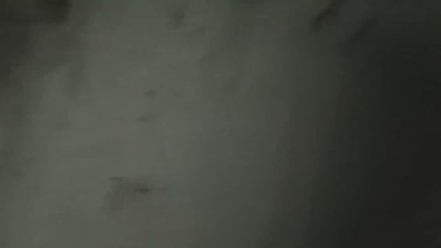 НЕ ОЖИДАЛИ! ТАКОЕ УВИДЕТЬ! В поисках сокровищ / In search of treasures смотреть онлайн