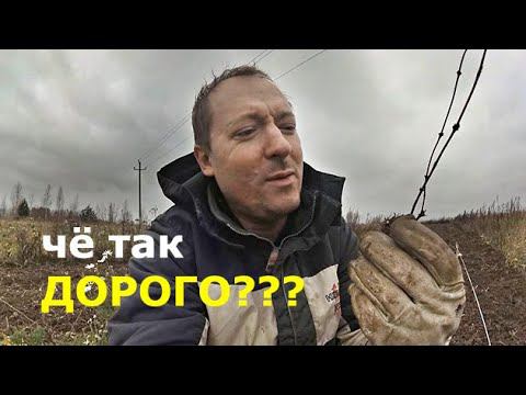 Из чего складывается цена саженца? смотреть онлайн