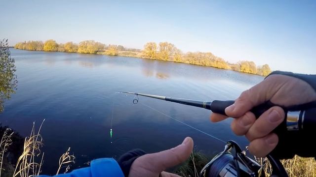 Осенний жор щуки | Особенности клёва | ВихровLIFE смотреть онлайн