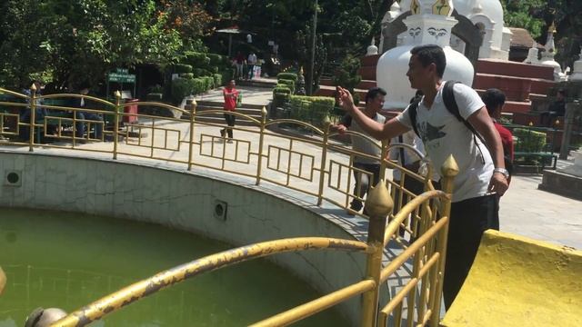 SWAYAMBHU TEMPLE смотреть онлайн
