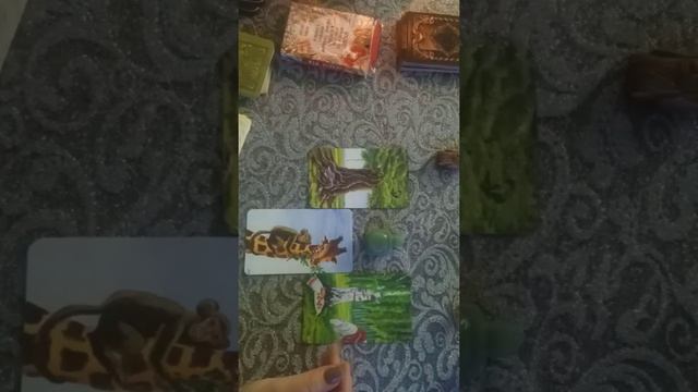 В каком направлении двигаться в обучении. 2 вариант. ☘️🙏 смотреть онлайн