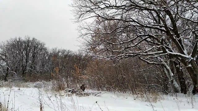 Маркелов Ярослав Игоревич, 5 лет, С. А. Есенин. 'Что это такое_' смотреть онлайн