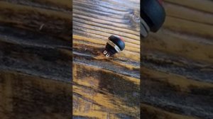 кнопка СТОП на румпель лодочного мотора suzuki 15dt