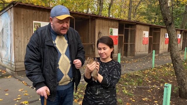 Видеолекции о птицах: Вальдшнеп смотреть онлайн