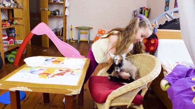 У НАС ДОМА МАЛЕНЬКИЙ КОЗЛЕНОК. КОМРИМ КОЗЛЕНКА ИЗ БУИЫЛОЧКИ, КАТАЕМ В КОЛЯСКЕ. НАСТЯ И РЕНЯ НА ФЕРМ смотреть онлайн