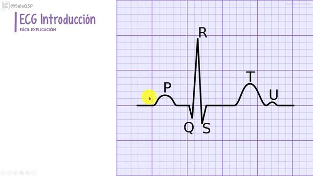 ELECTROCARDIOGRAMA Generalidades | ¡Fácil explicación! смотреть онлайн