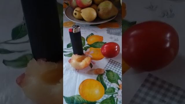 Слива Виктория. смотреть онлайн