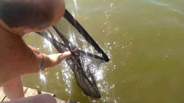 Игорек тянет амура 2 .Одесса .Три карася смотреть онлайн