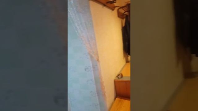 ЖЭУ И ЖКХ Заводского района смотреть онлайн