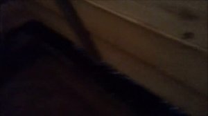 КАК САМОМУ ЗАЛИТЬ БЕТОННЫЙ ПОЛ В БАНЕ !!!