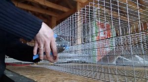 КЛЕТКА ДЛЯ ПЕРЕПЕЛОВ СВОИМИ РУКАМИ.  НИППЕЛЬНЫЕ ПОИЛКИ.