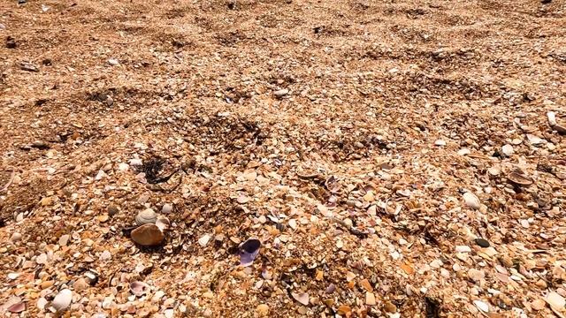 Крымские каникулы! Отдых на берегу моря. Феодосия. Береговое. смотреть онлайн