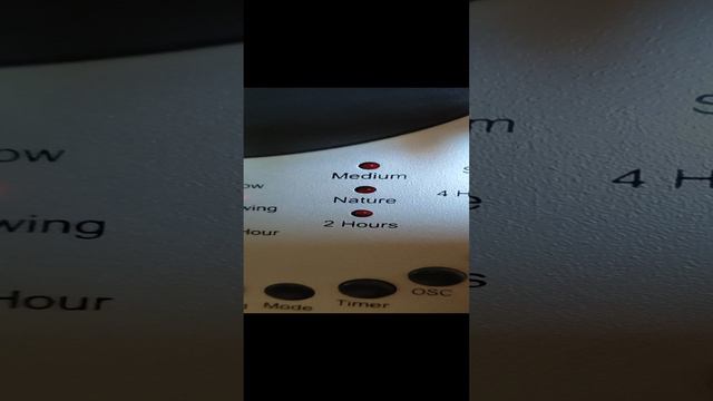 1000008185.mp4 смотреть онлайн