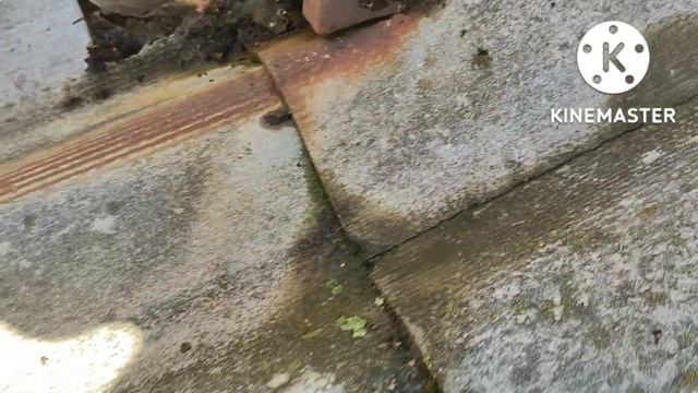 Подготовка грядок к зиме . Ремонт крыши. смотреть онлайн