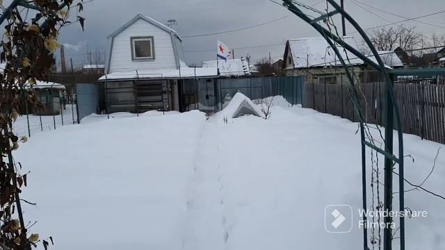 135. Печь в бане отремонтировал. До весны 17 дней. смотреть онлайн